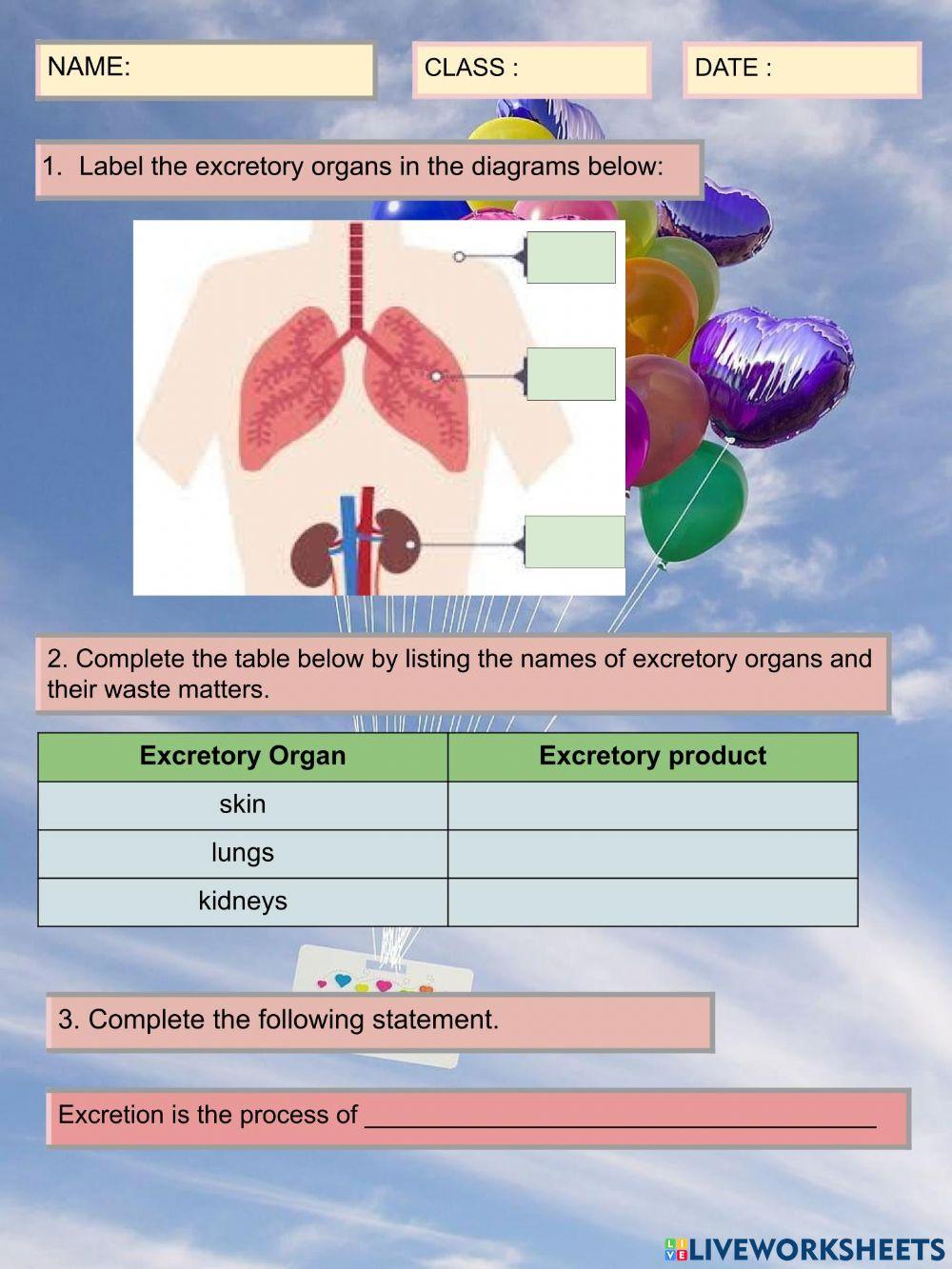 Organ and their products of excretion