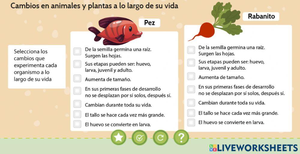 Cambios e los seres vivos