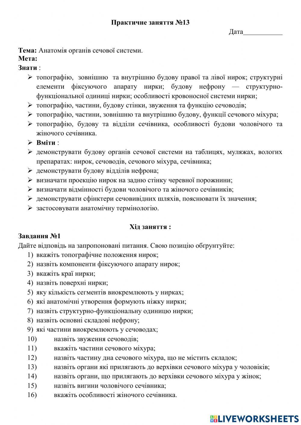 Практичне заняття №13