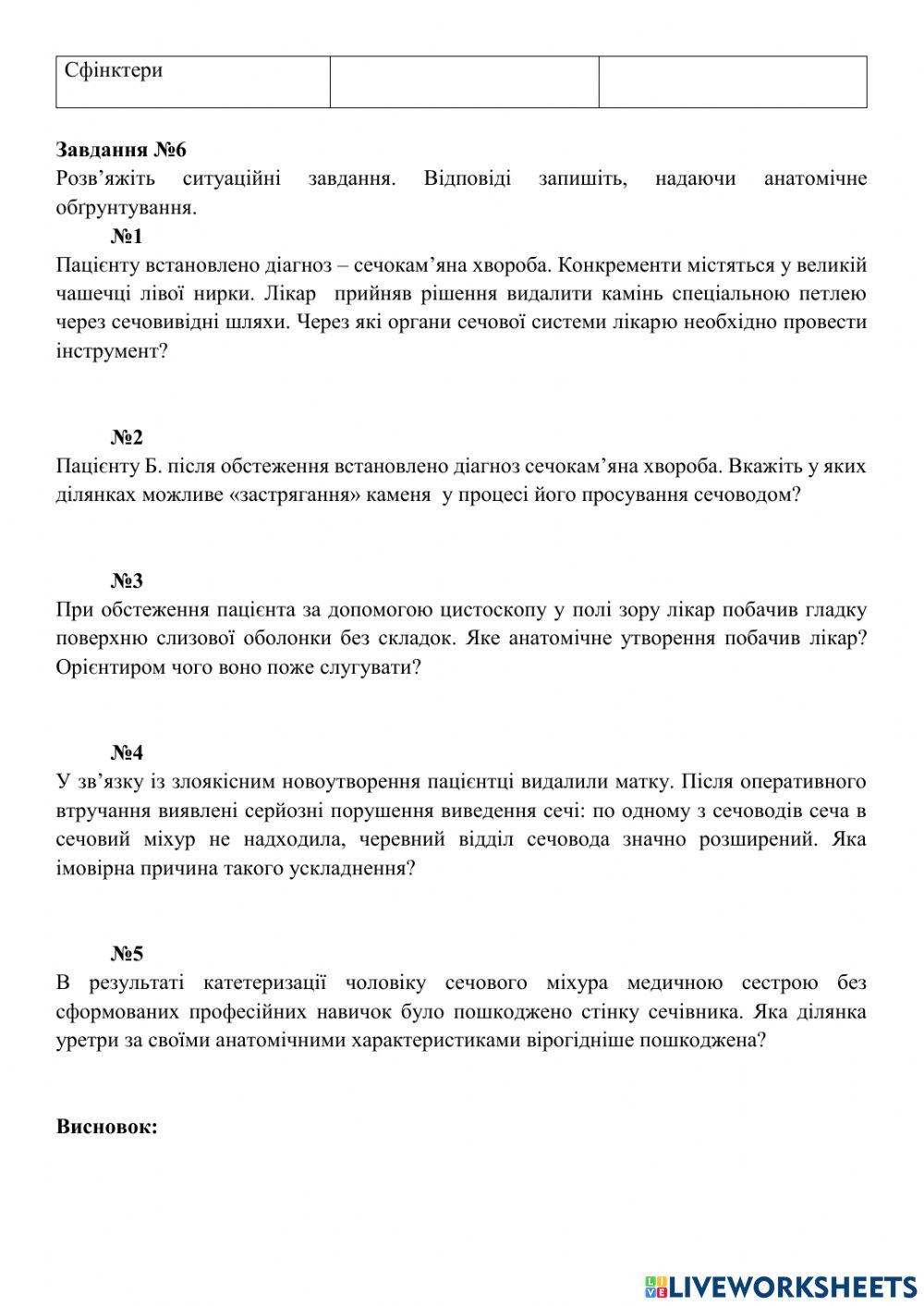 Практичне заняття №13