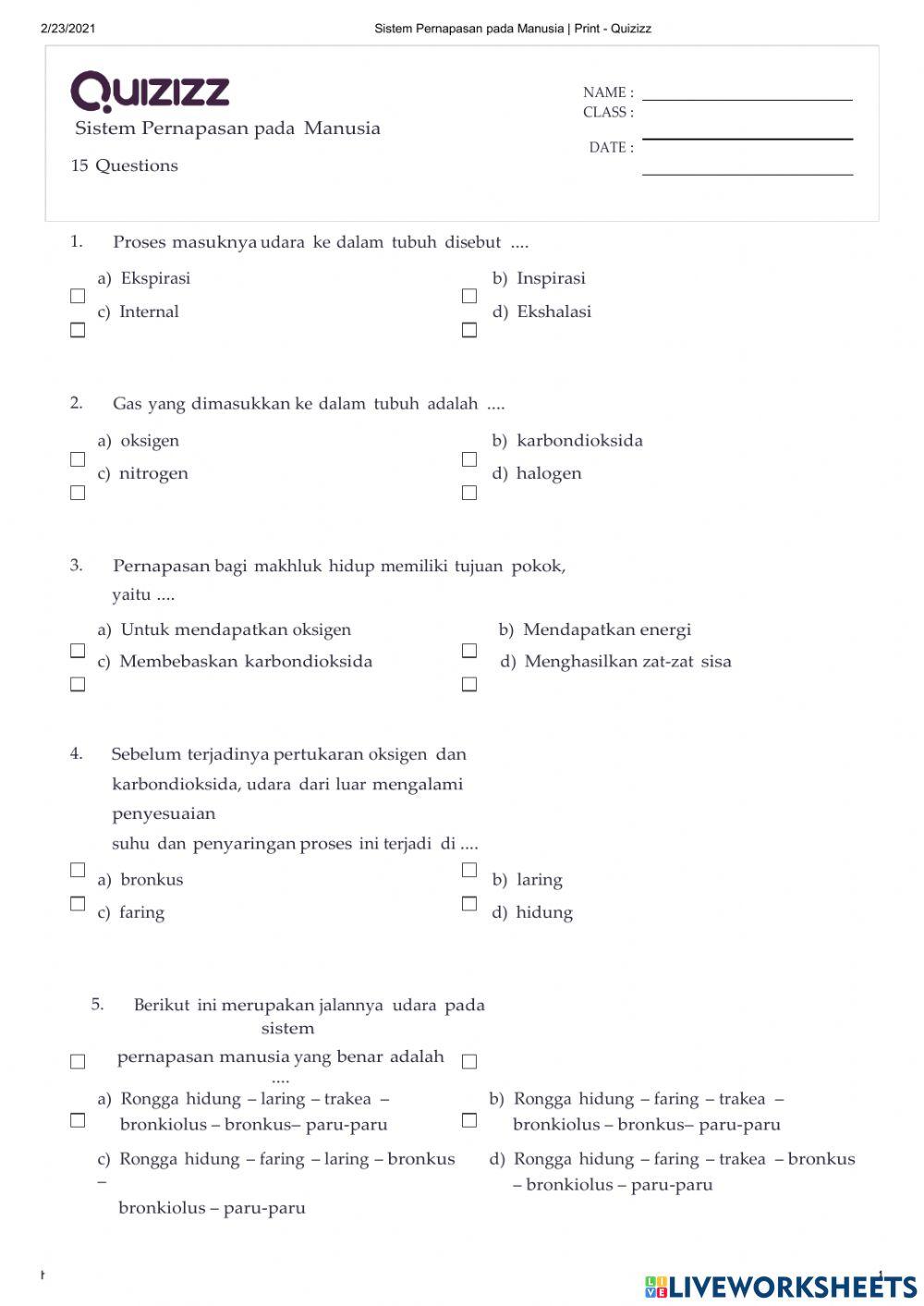 Sistem pernapasan manusia