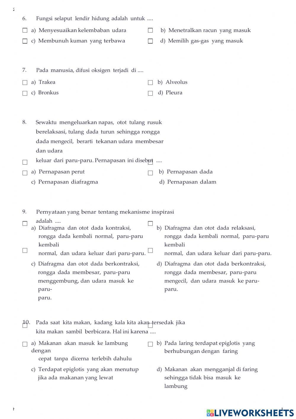 Sistem pernapasan manusia