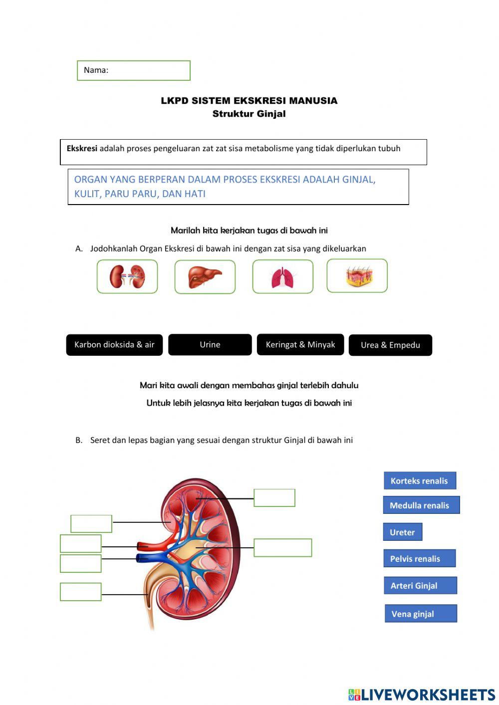 Ilmu Pegetahuan Alam