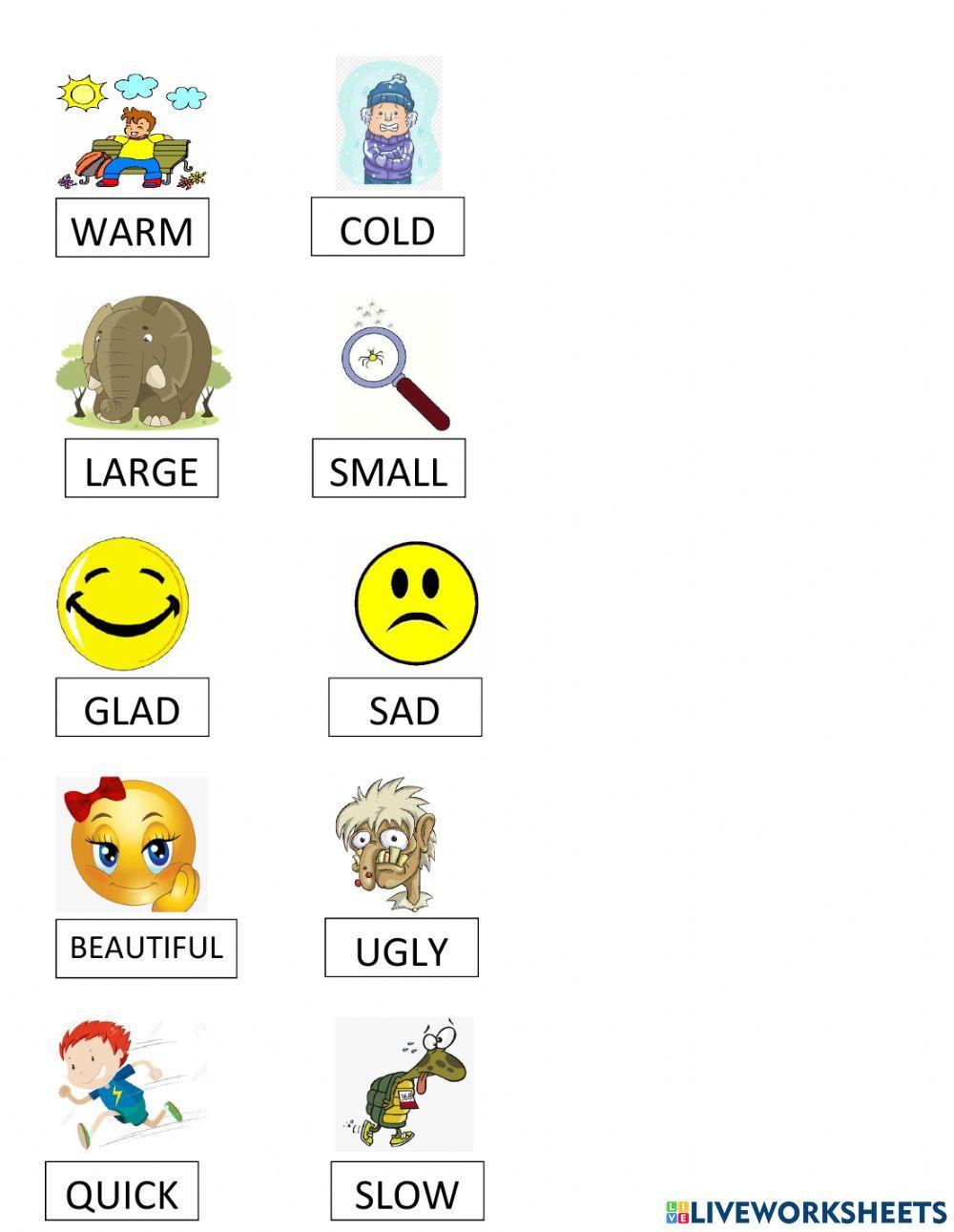 Synonyms and Antonyms Worksheet