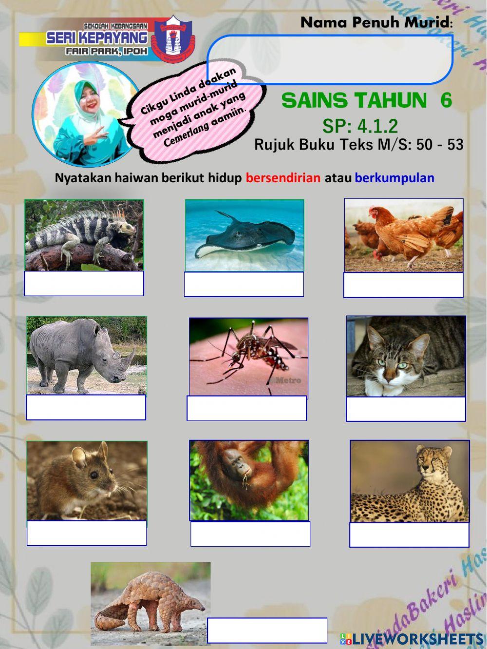 Sains Tahun 6 : Sains Hayat