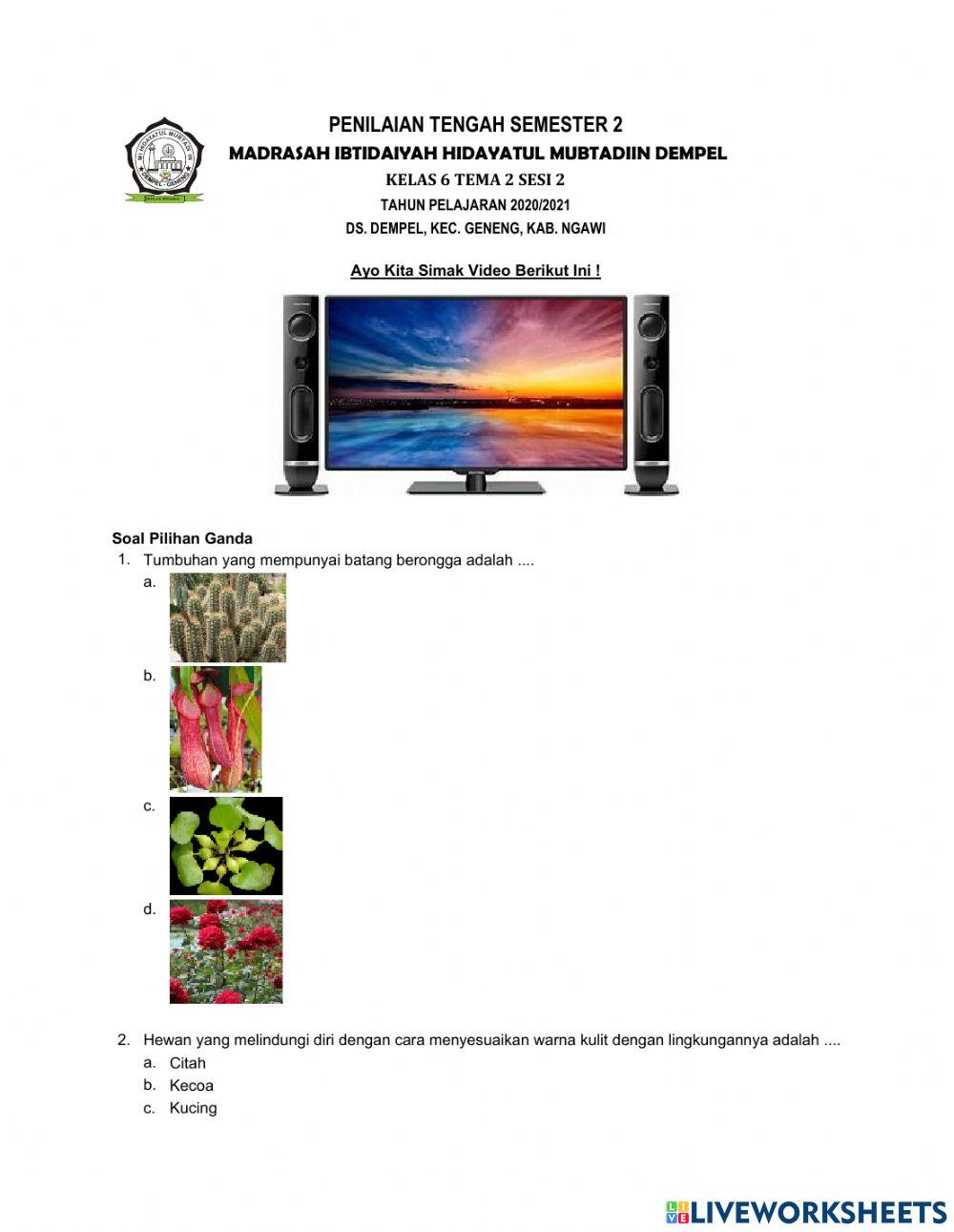 PTS Genap Kelas 6  MI Dempel