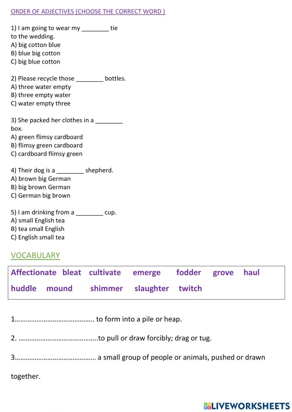 Grammar &vocabulary YEAR 7