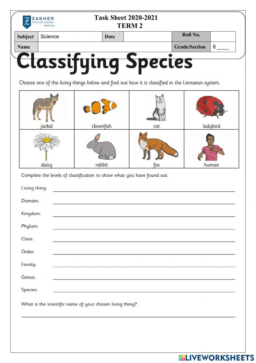 Classifying species online exercise for | Live Worksheets