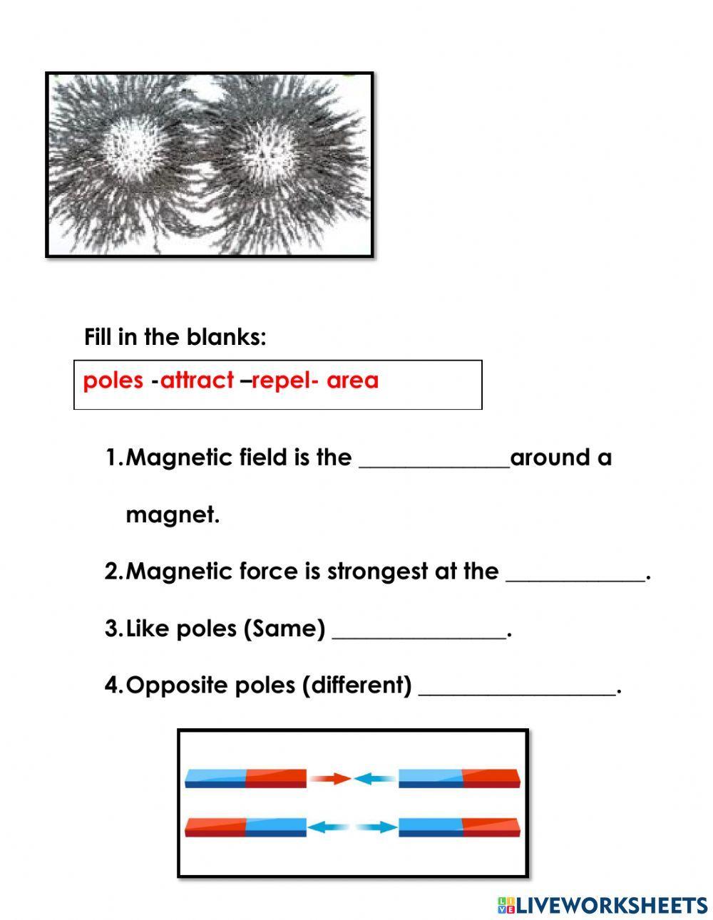 Magnetic Field