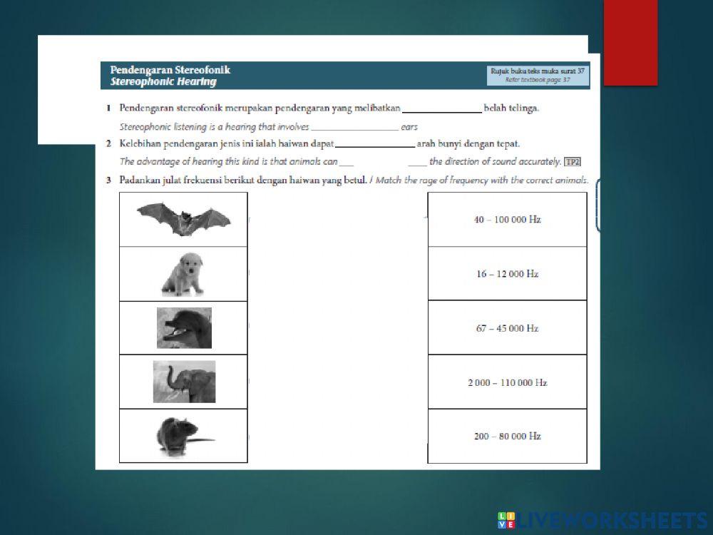 Stereophonic hearing