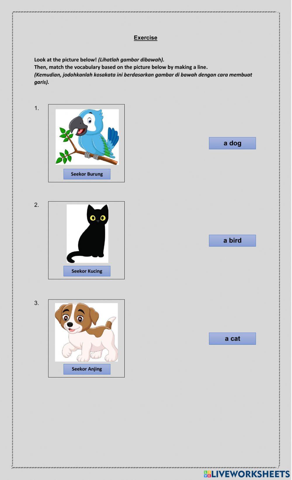 Match the picture with cocabulary