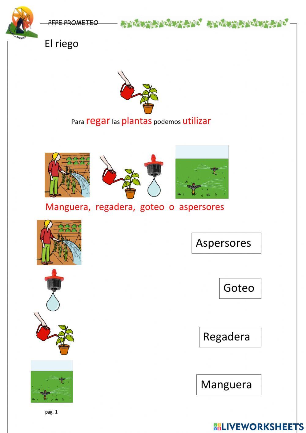 Identificar partes sistema riego adaptado