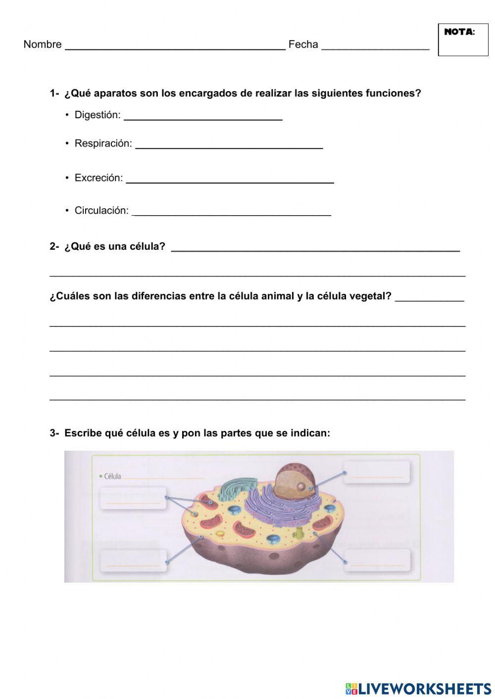 La célula y los aparatos y sistemas