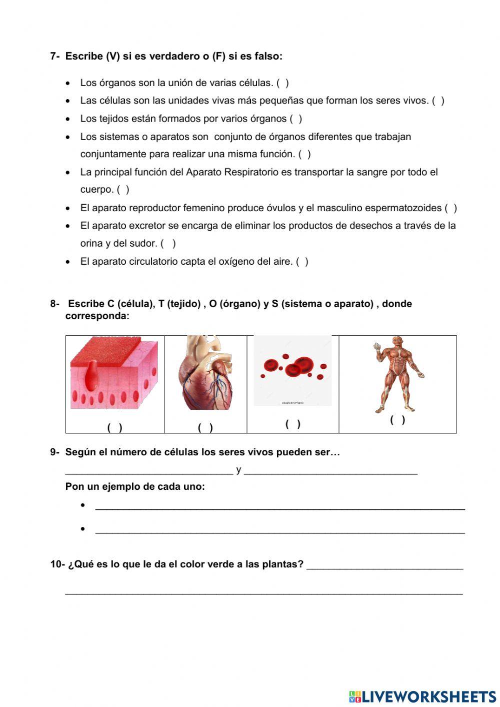 La célula y los aparatos y sistemas