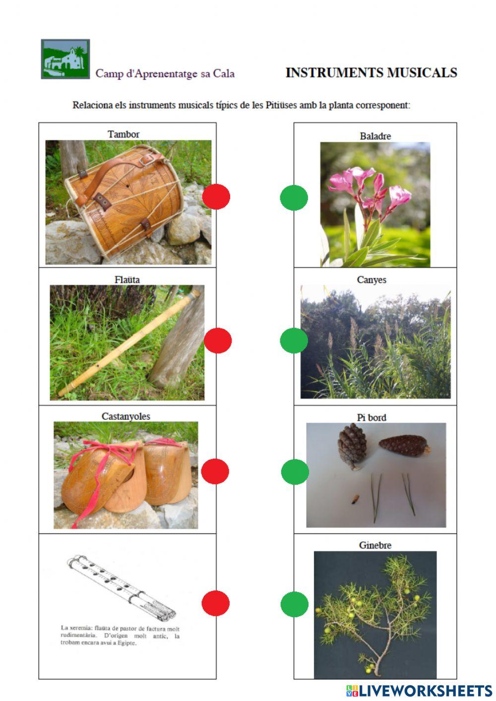 Instruments musicals típics de les Pitiüses