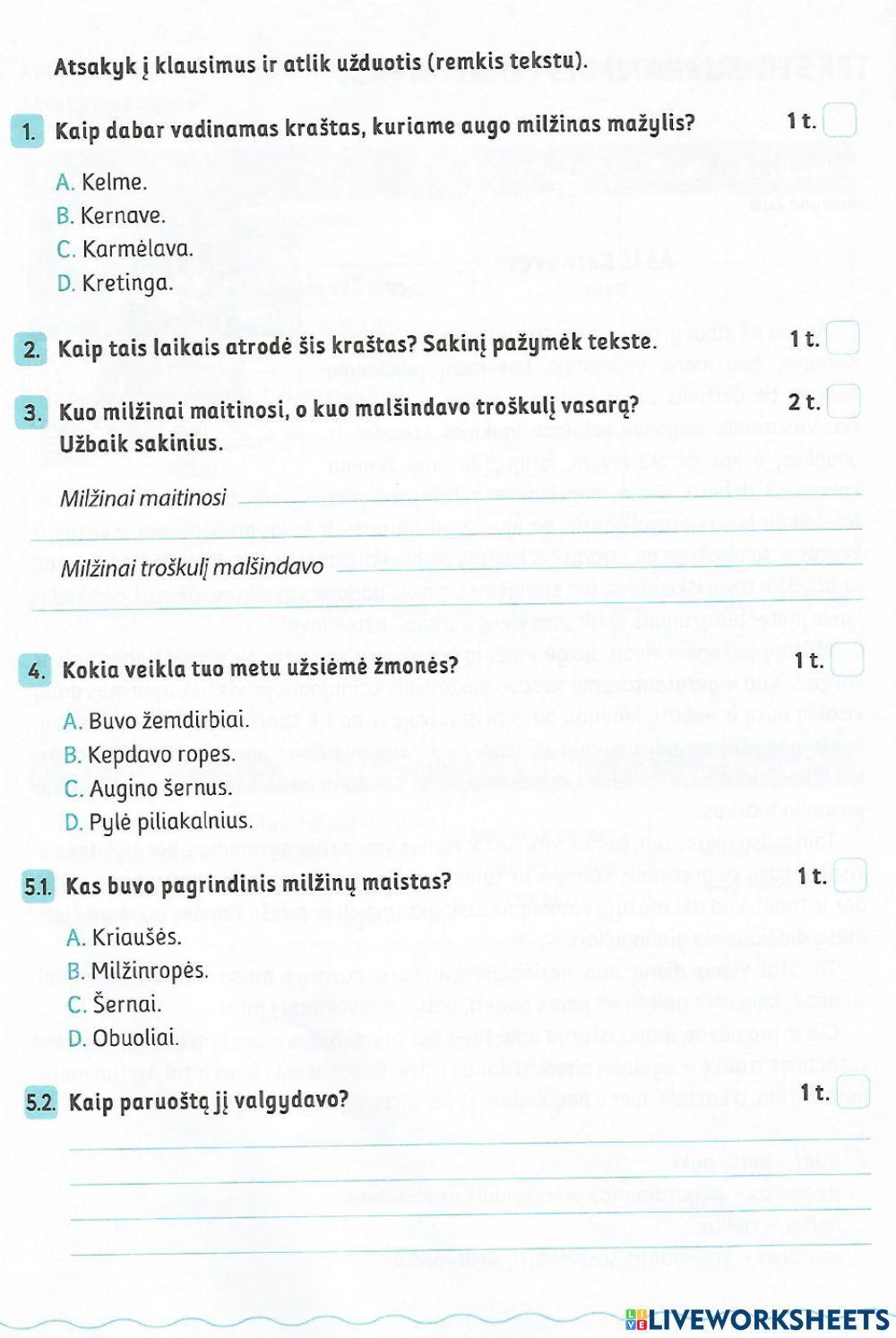 Teksto supratimas (skaitymas)