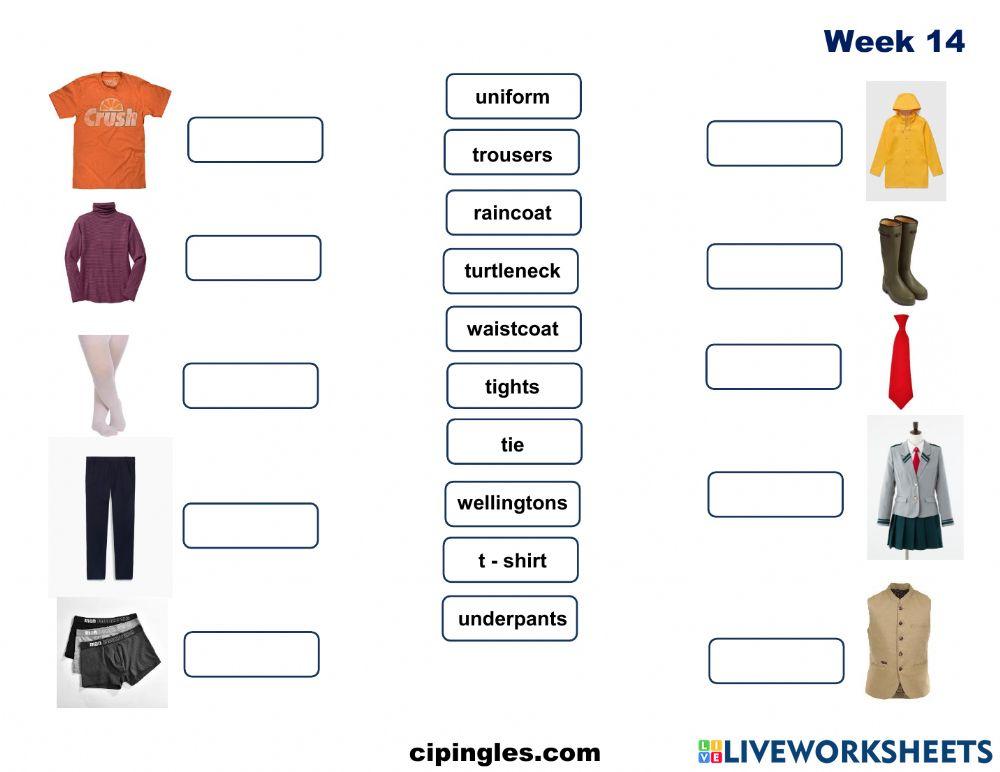 Verbs and Clothes Week 14