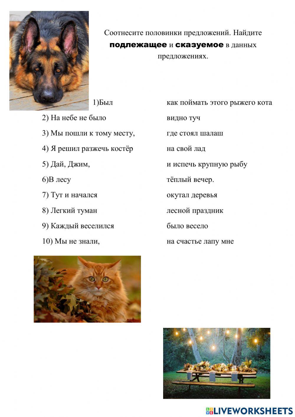 Подлежащее и сказуемое worksheet | Live Worksheets