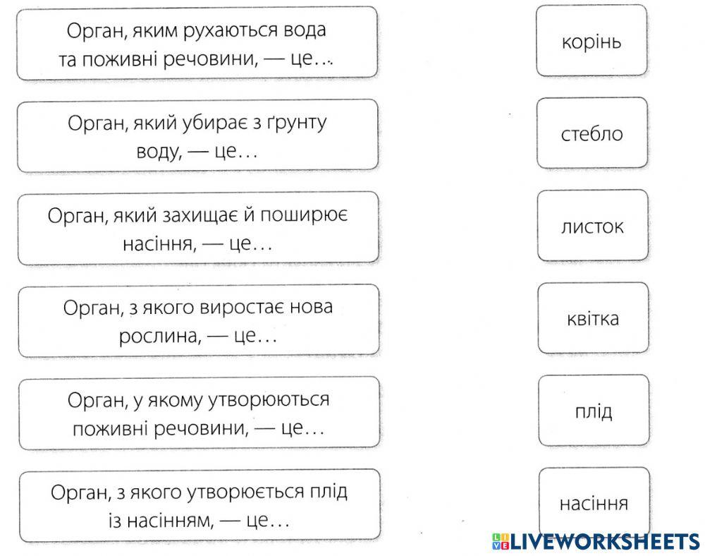 Органи рослини