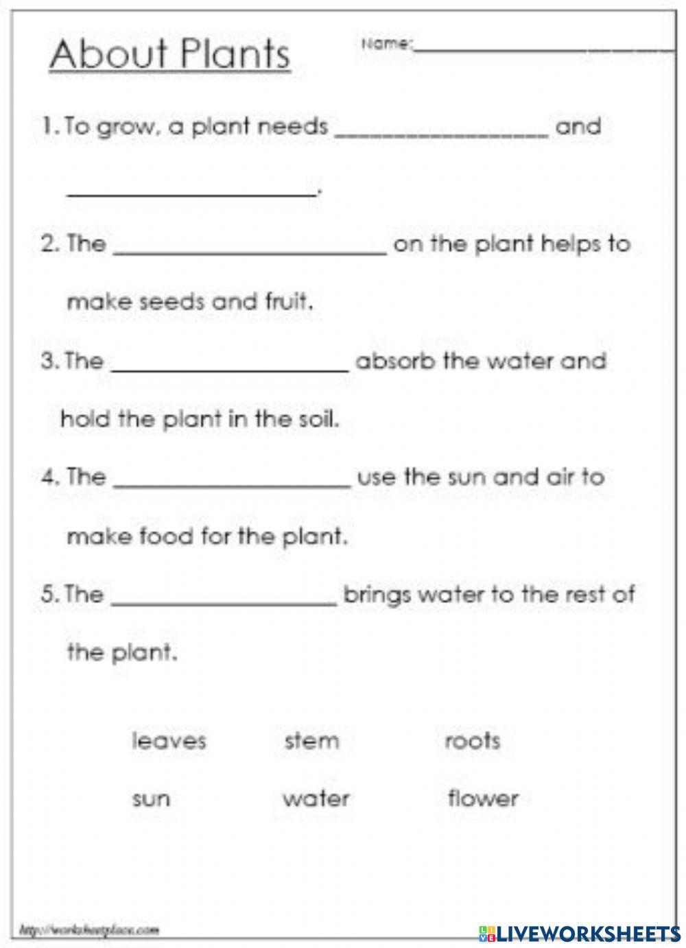 753010 Plants Shiyama LiveWorksheets