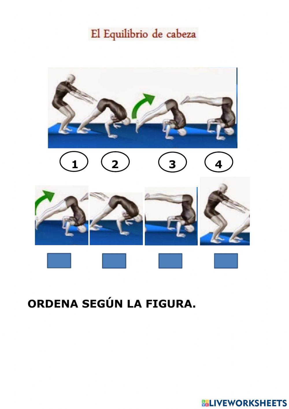 Equilibrio de cabeza