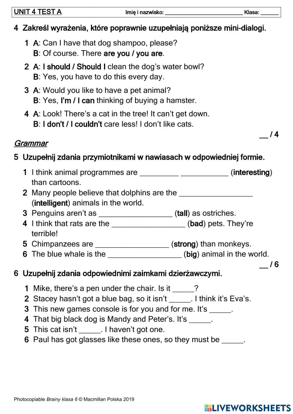 Brainy 6 Unit 4 Test A