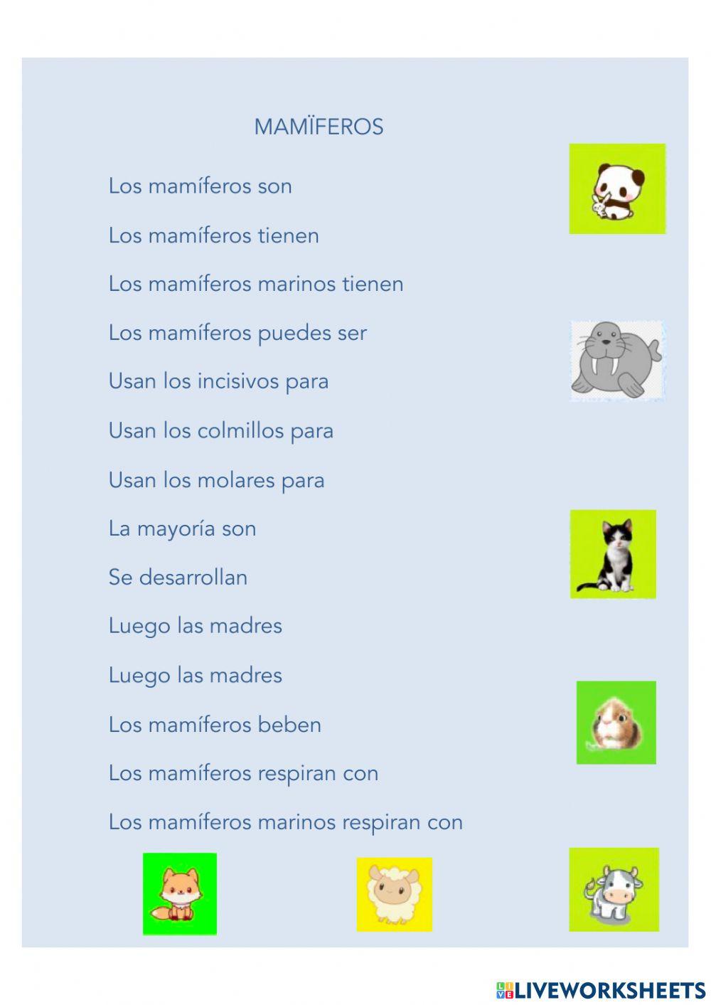 Actividad Mamíferos