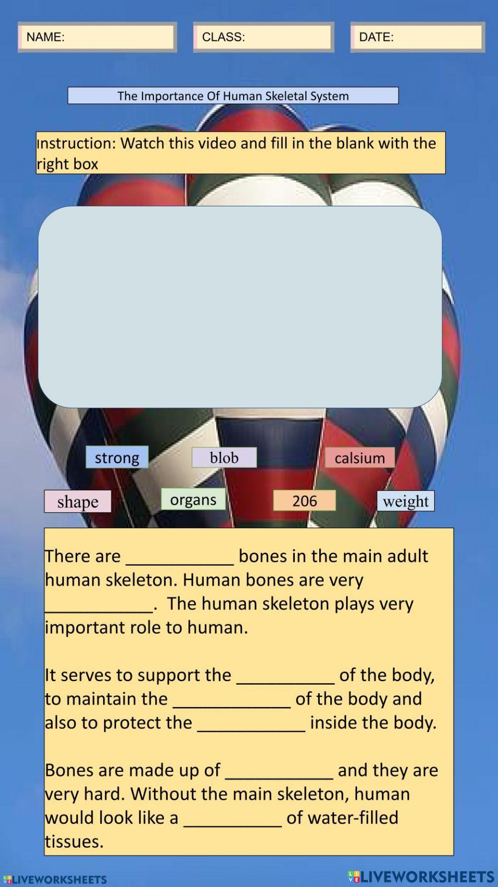 Human Skeletal system