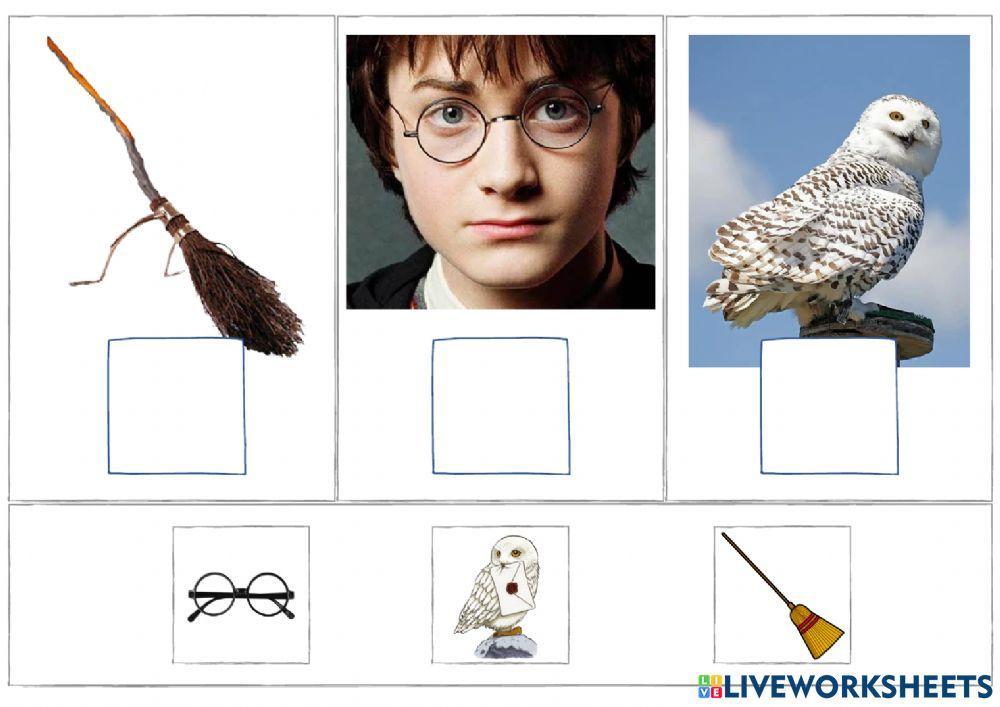 Harry Potter