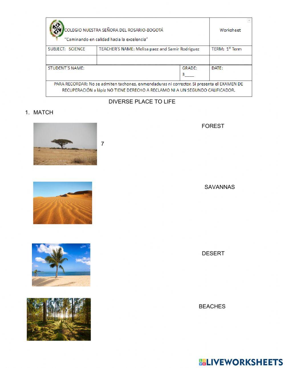 Diverse places to live