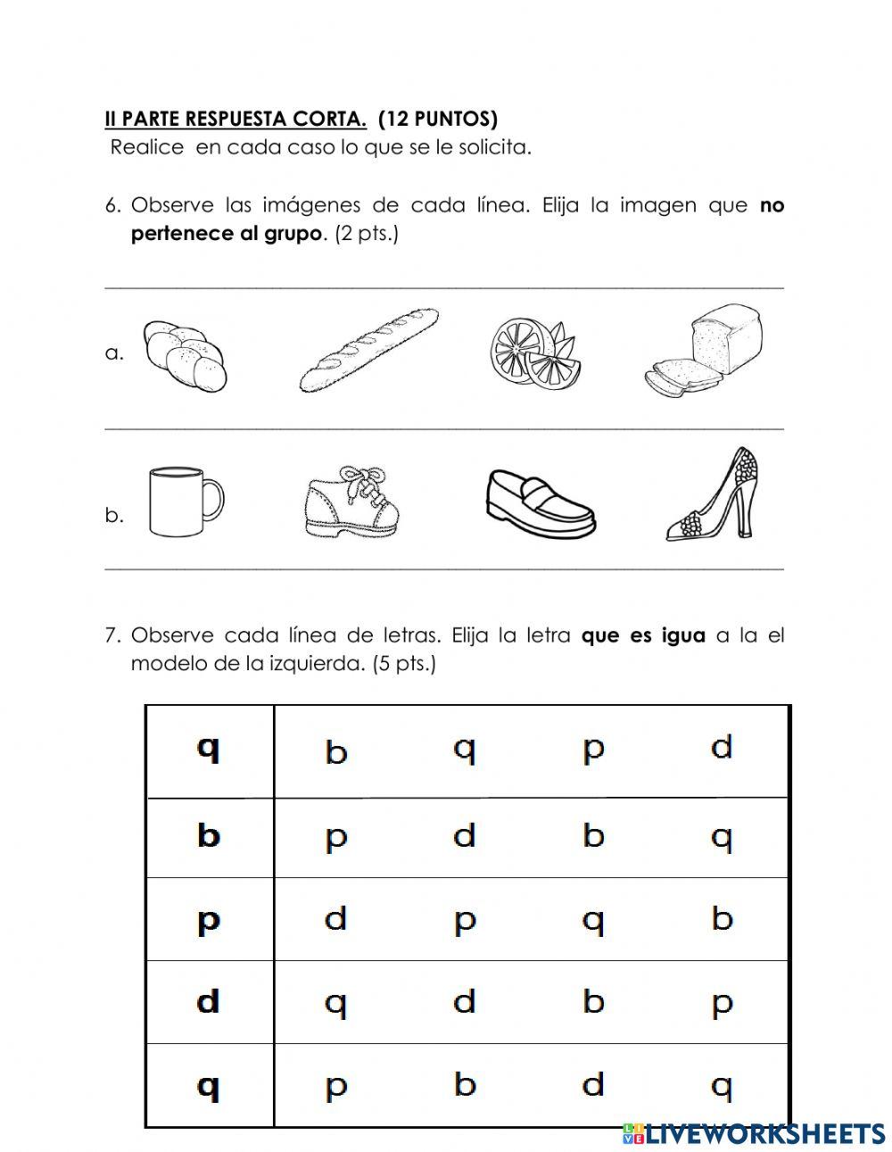 Prueba diagnóstica