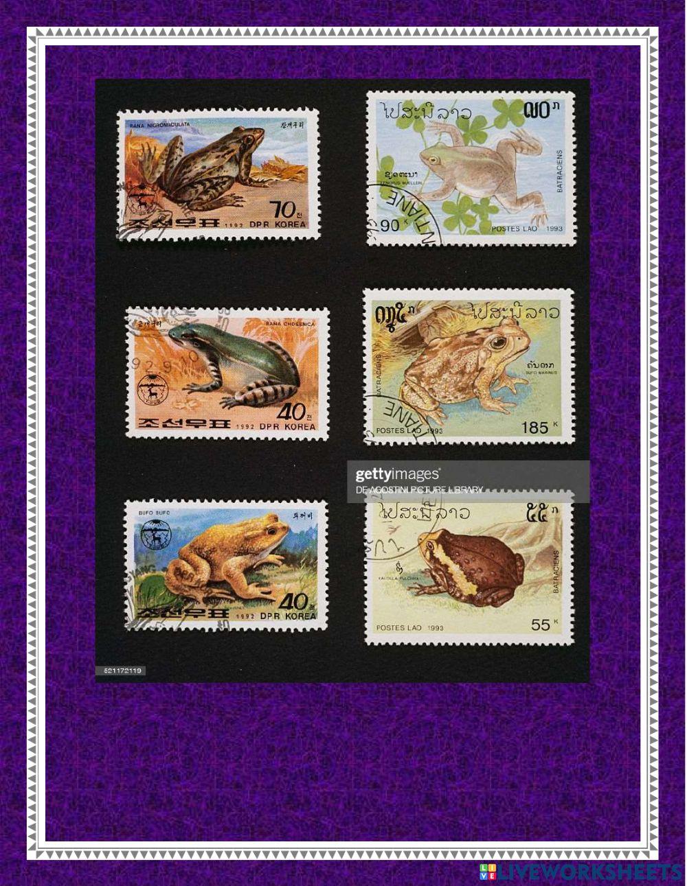 How many animals can you see?