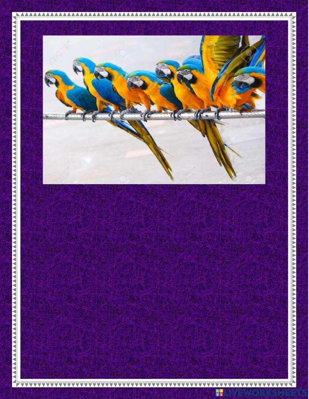 How many animals can you see?