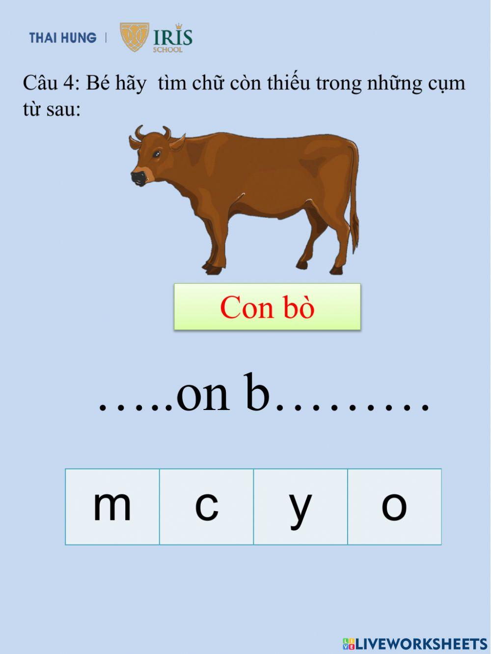 Chữ cái vui nhộn