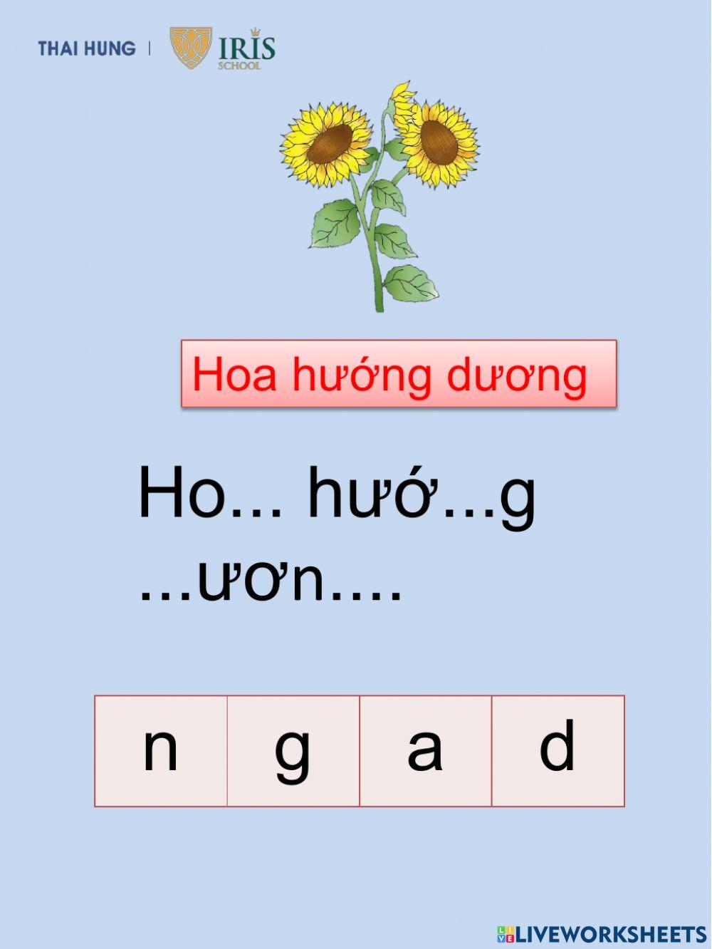 Chữ cái vui nhộn