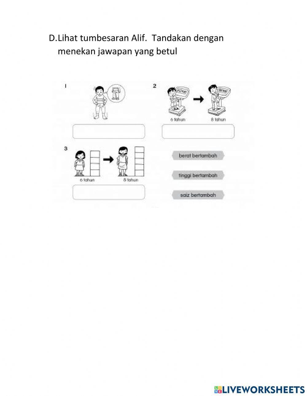 Pembiakan dan Tumbesaran