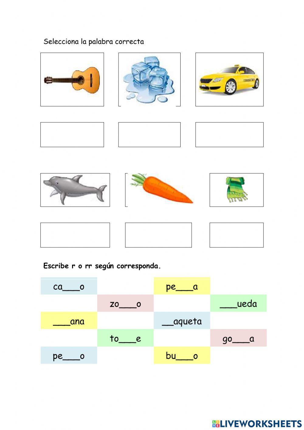 Repaso quimestre lenguaje 1