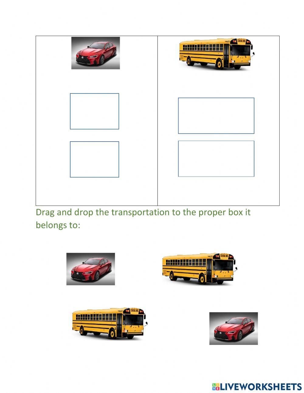 Transportation(Car and Bus)