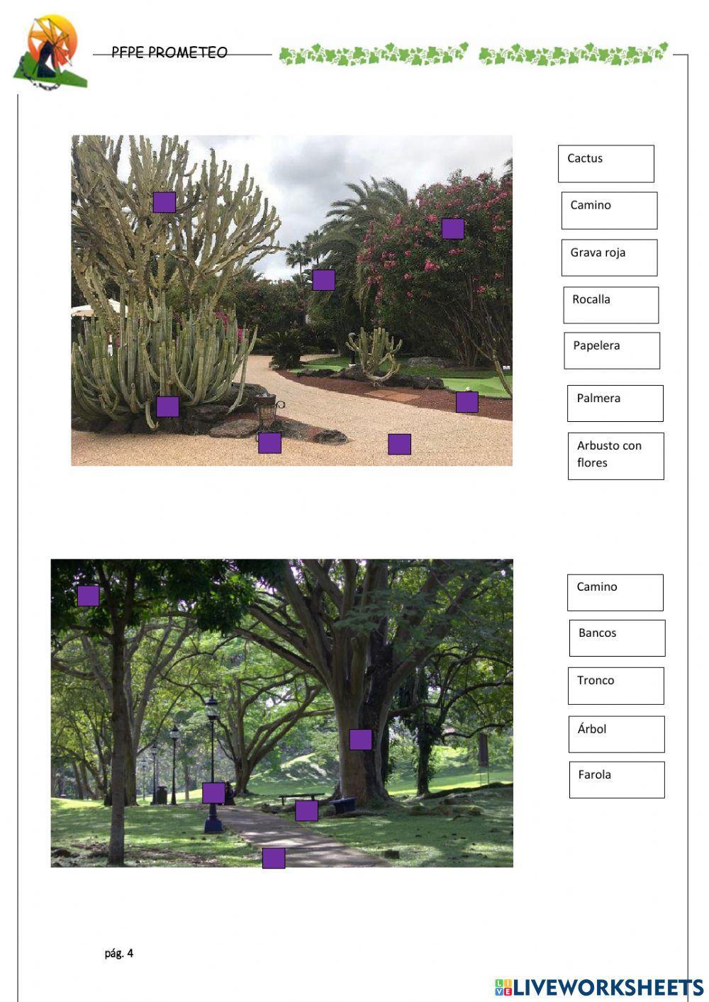Identificar elementos de parque y jardín
