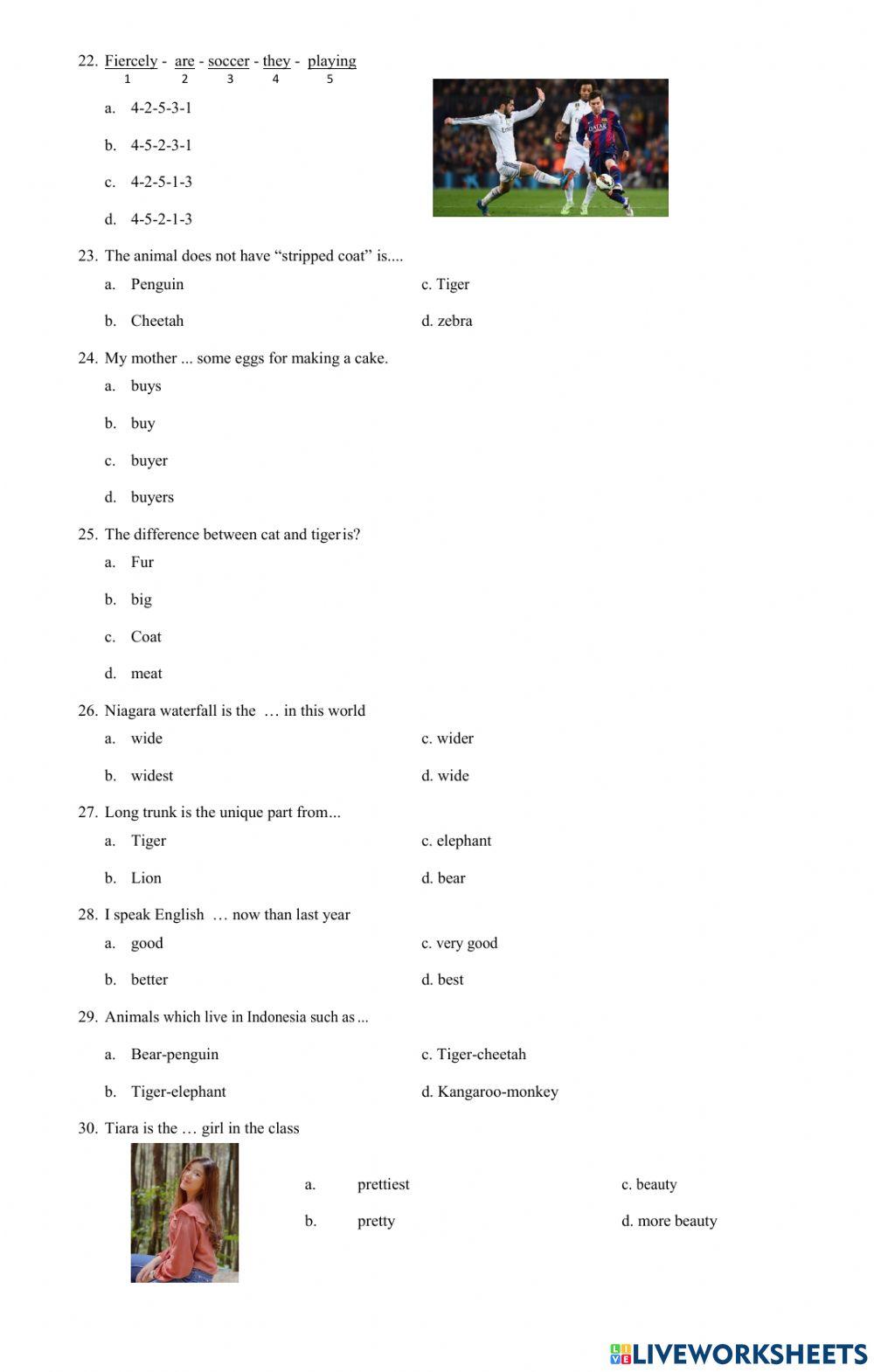 PTS Bahasa Inggris Kelas 8 Semester 2