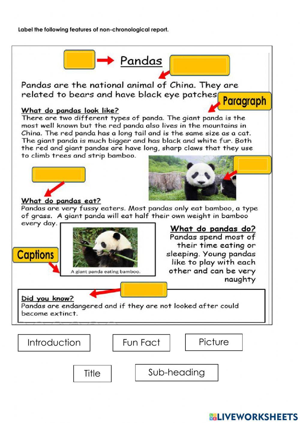 Features of Non Chronological Report AFL2