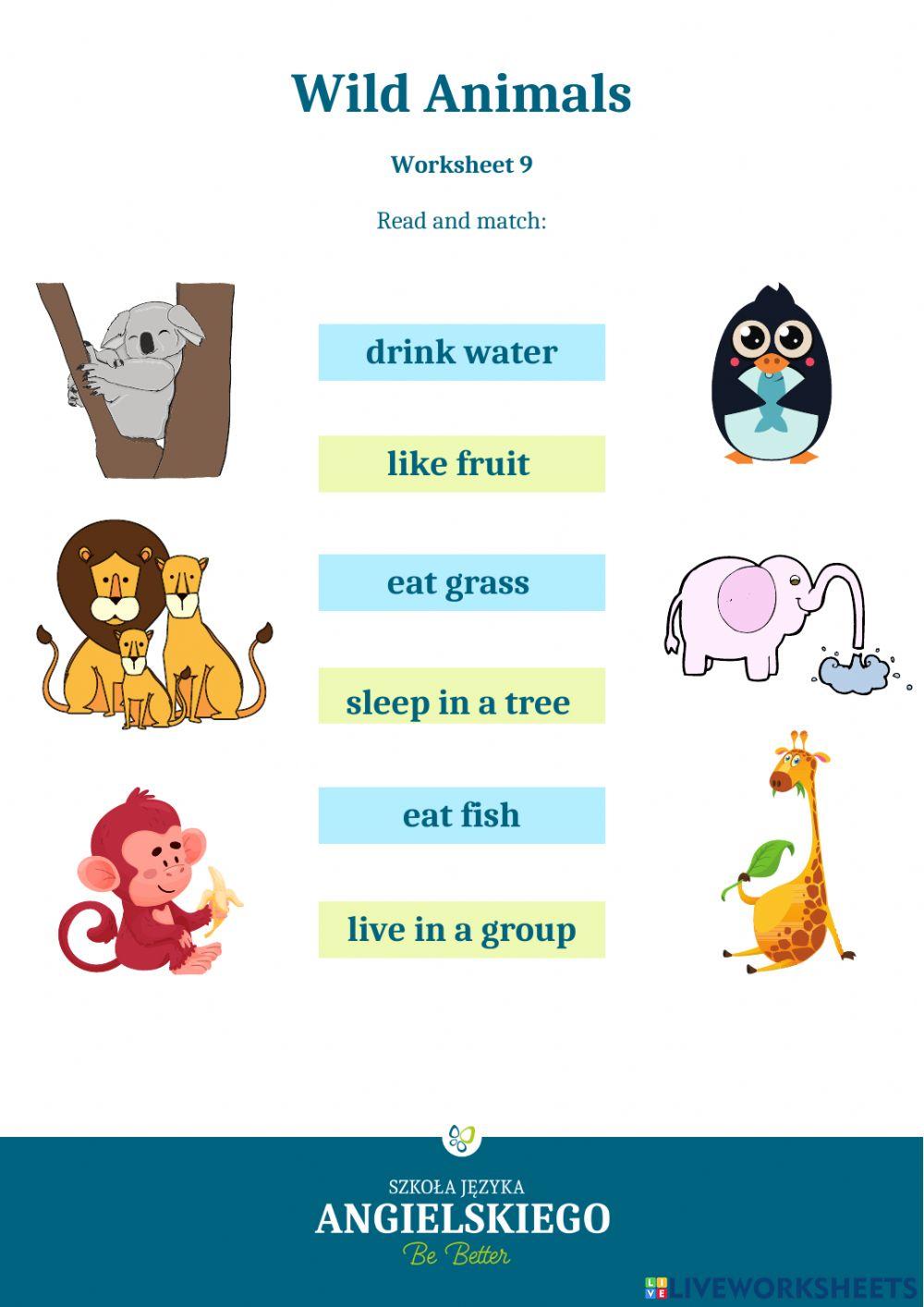 Animals - Read and match - Unit - - Worksheet 9