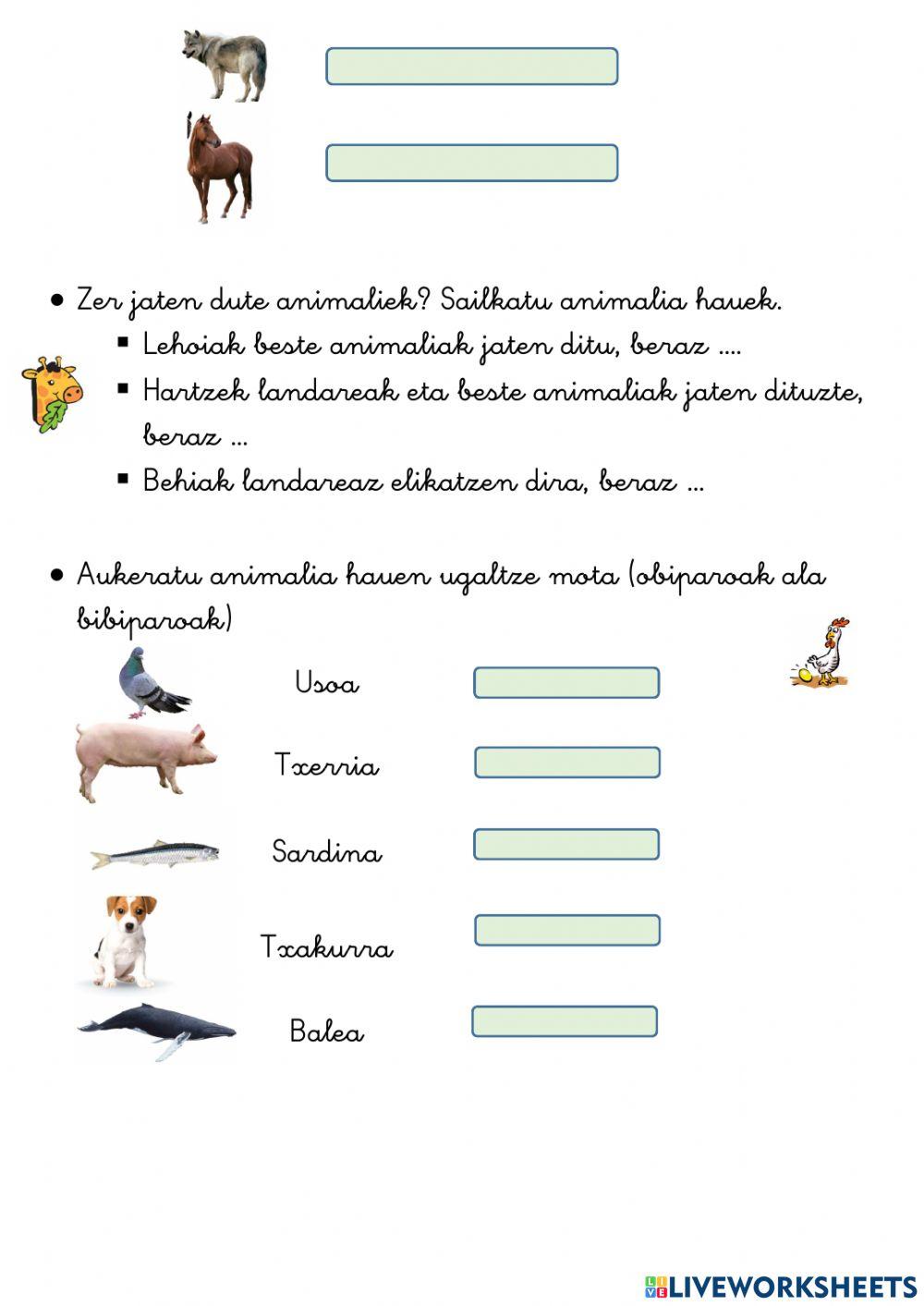 Animaliak Animaliak
