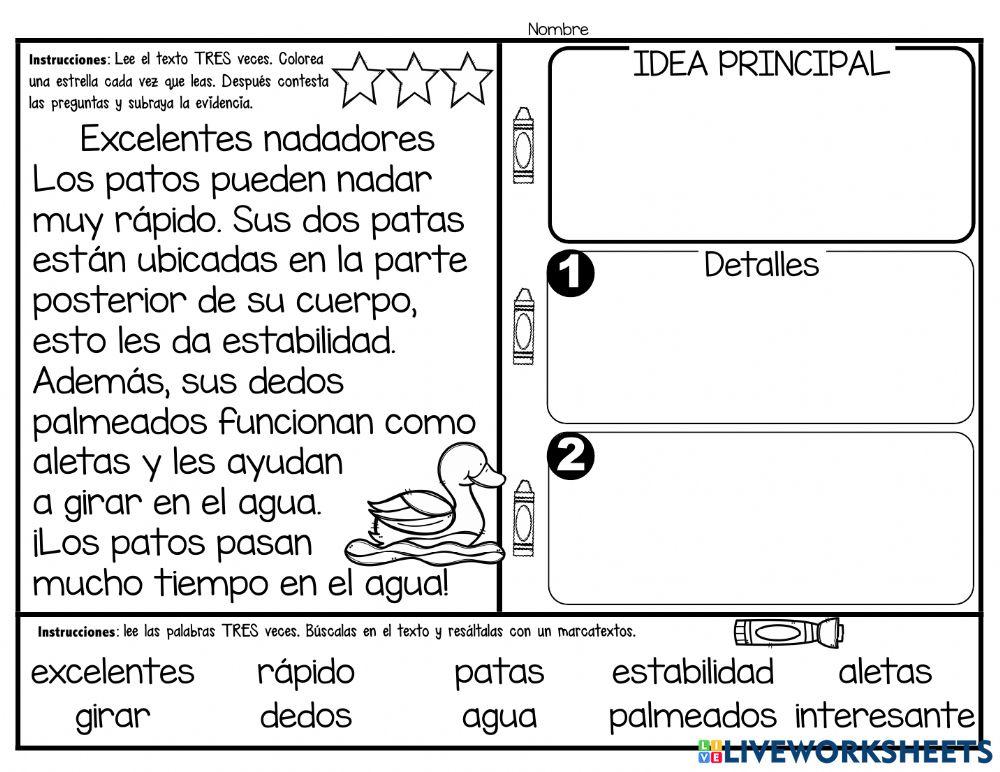 Idea central, detalles