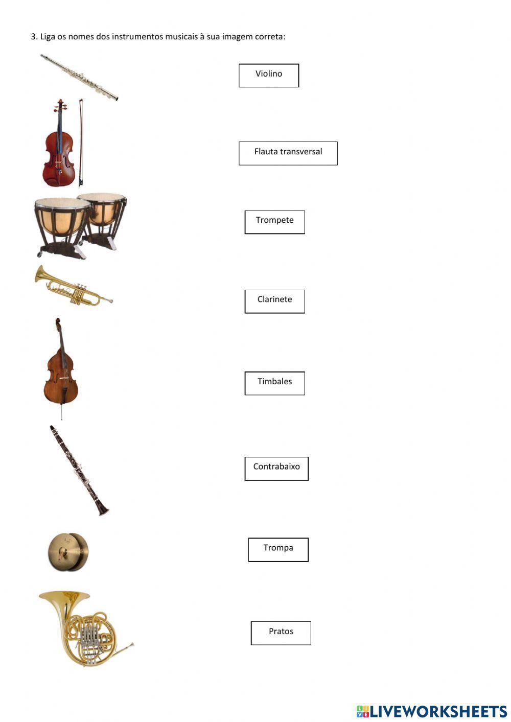 Instrumentos da orquestra sinfónica