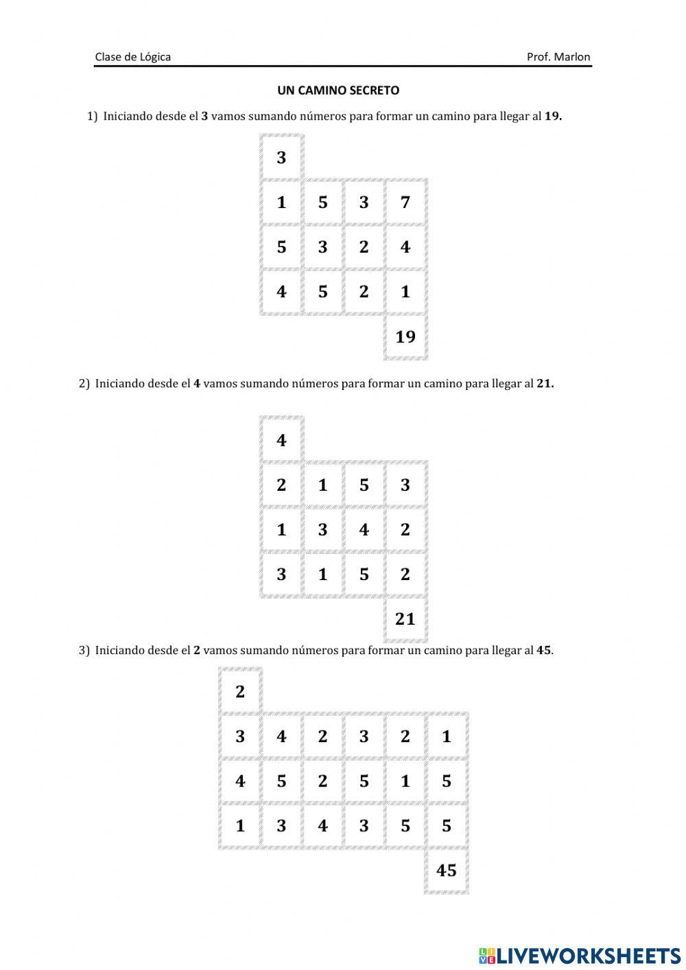 Un Camino Secreto N1