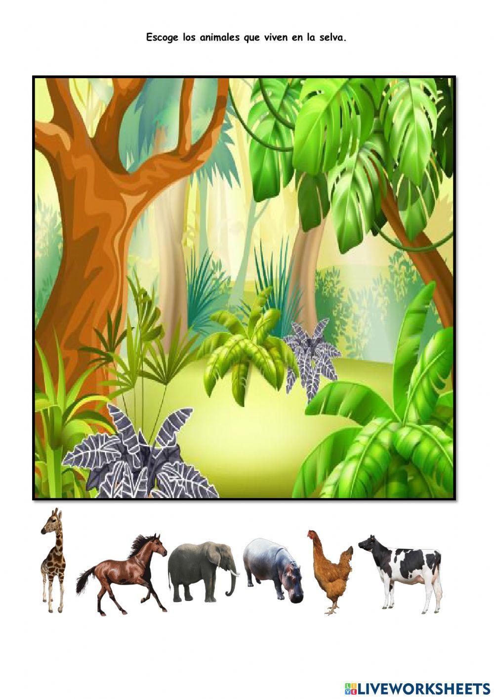 Hábitat de los Animales salvajes y de la granja