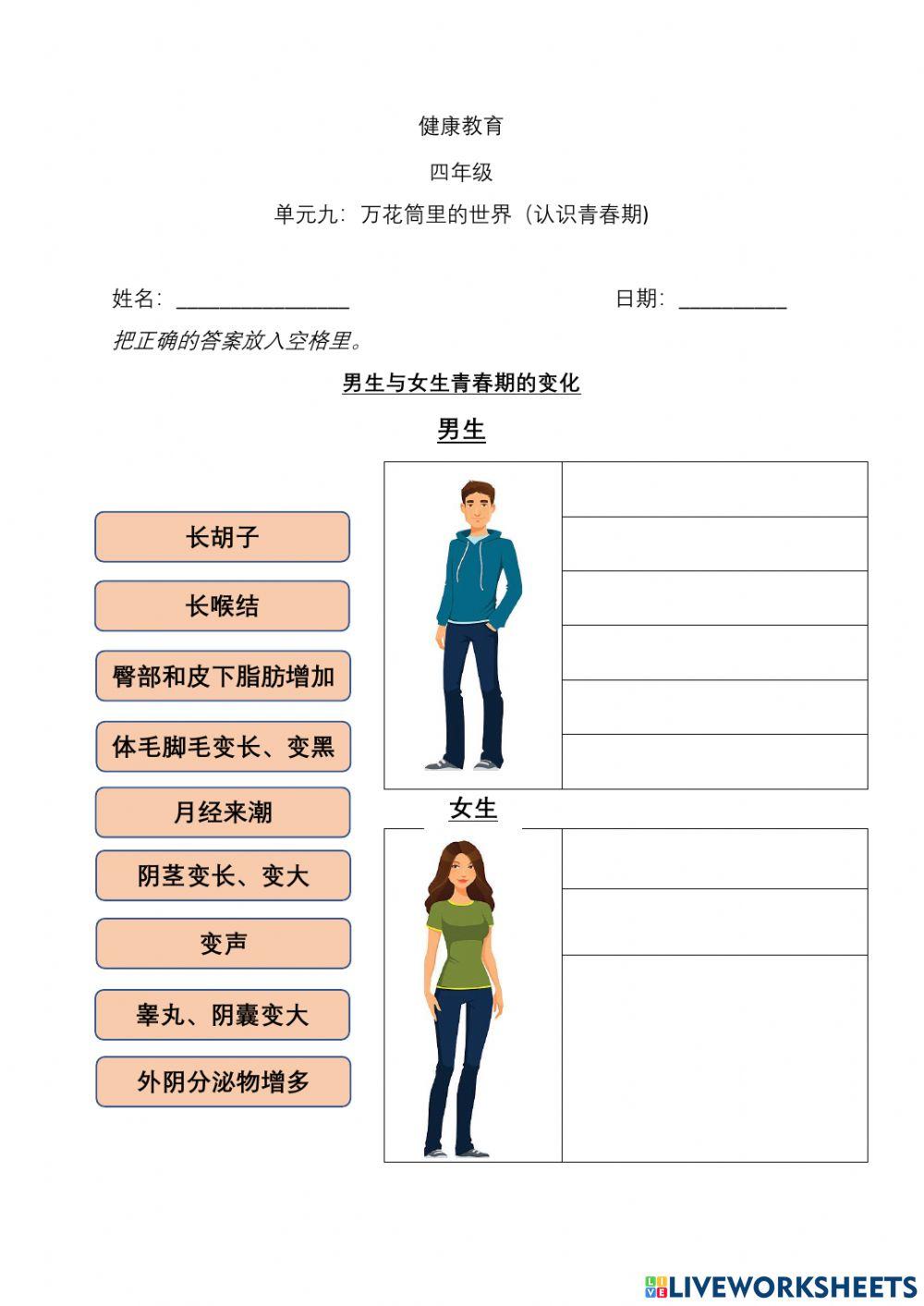 单元九：万花筒里的世界（认识青春期)