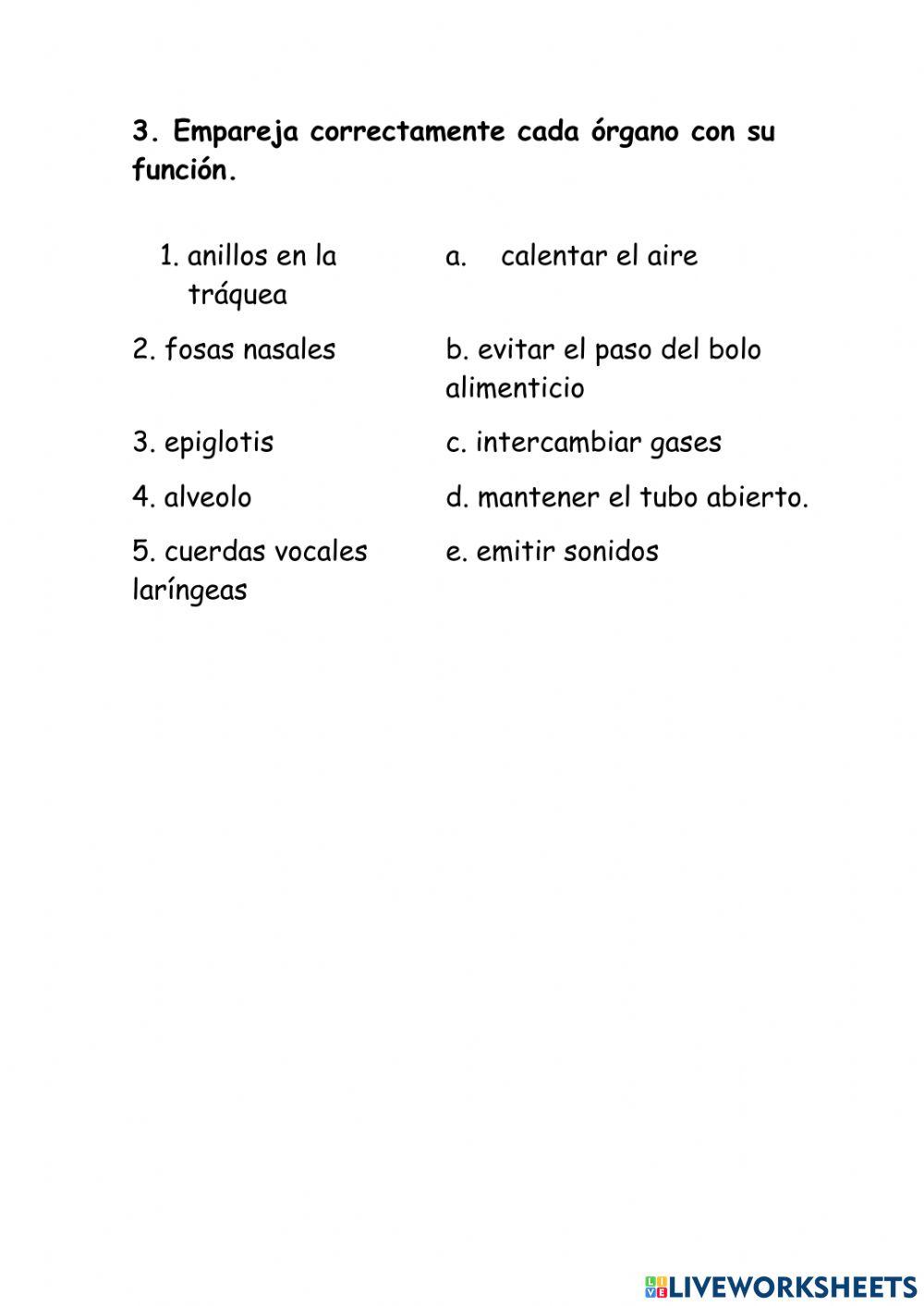 Digestivo y excretor