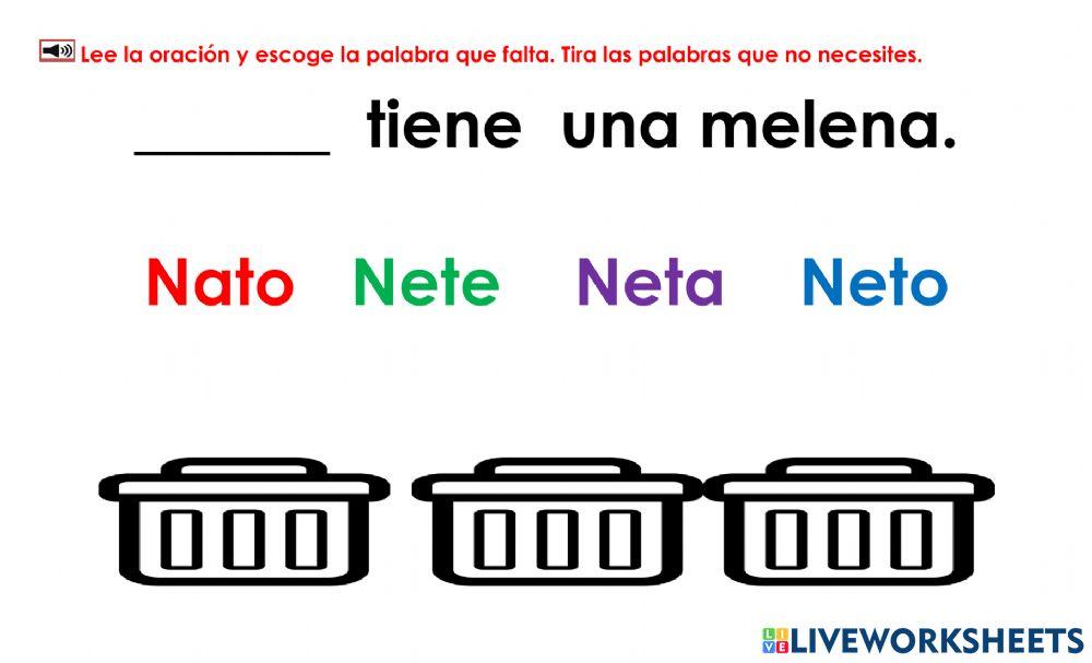 Neto: Examen 3